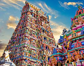 Pilgrim Pages Pilgrim Pages