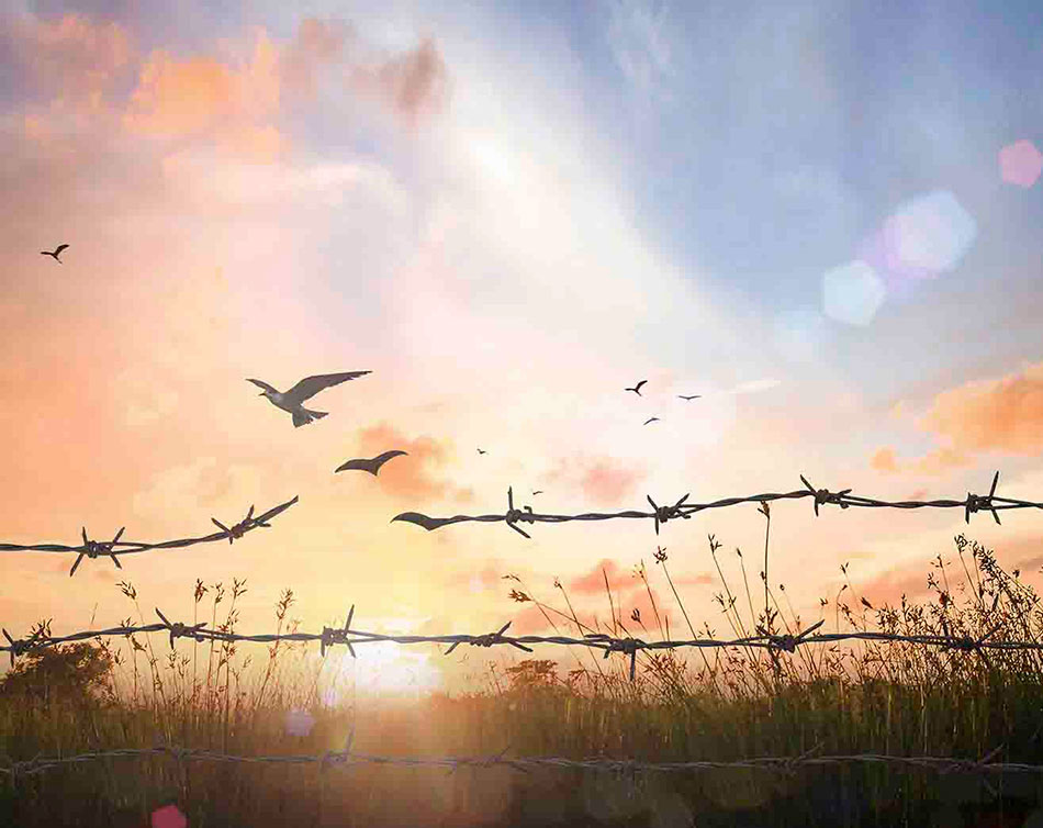 Forgiving Can Bring Us Peace