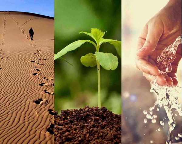 The Healing Power Of Nature