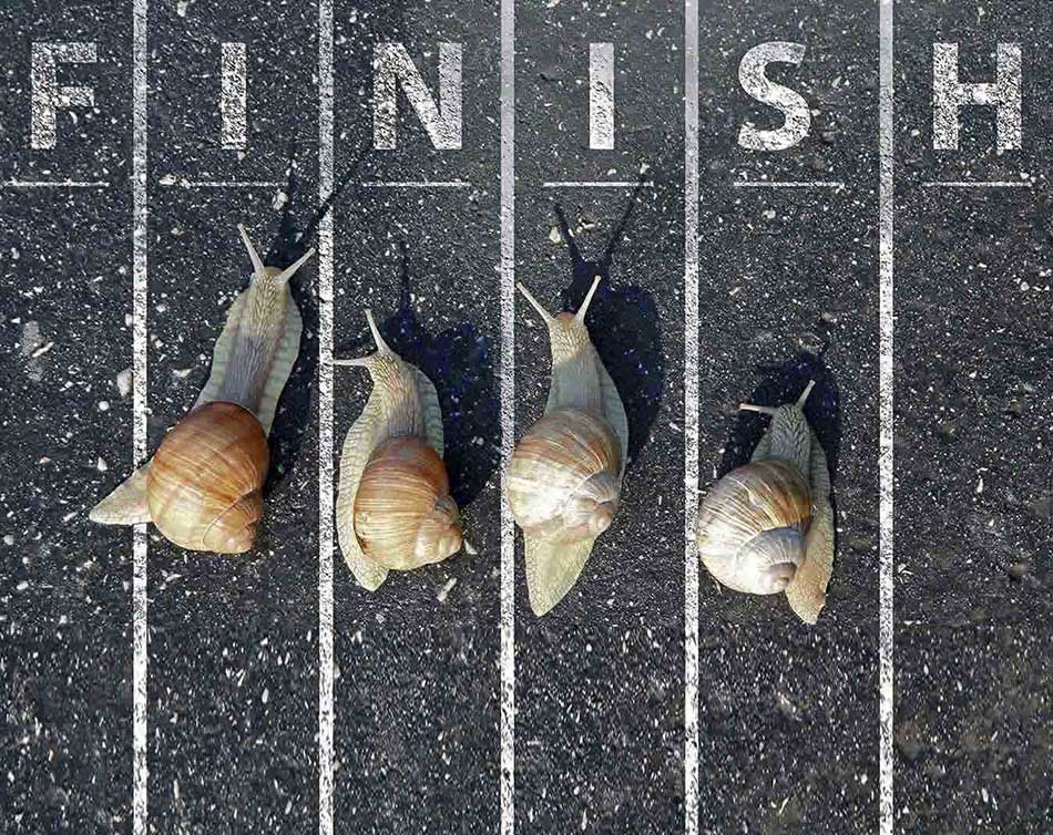 Patience Is A Virtue Patience Is A Virtue