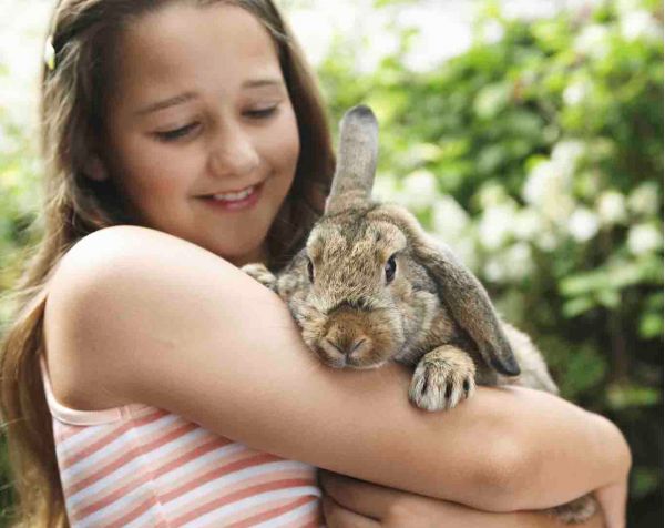 Why Every Home Should Have A Pet?