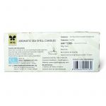 Sea Shell Floating Candles (Pack of 2) Sea Shell Floating Candles (Pack of 2)