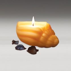 Sea Shell Candle Sea Shell Candle